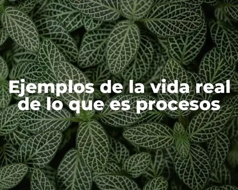 Ejemplos de la vida real de lo que es procesos