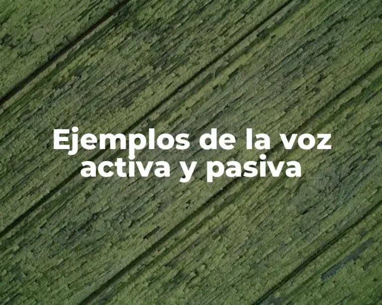 Ejemplos de la voz activa y pasiva