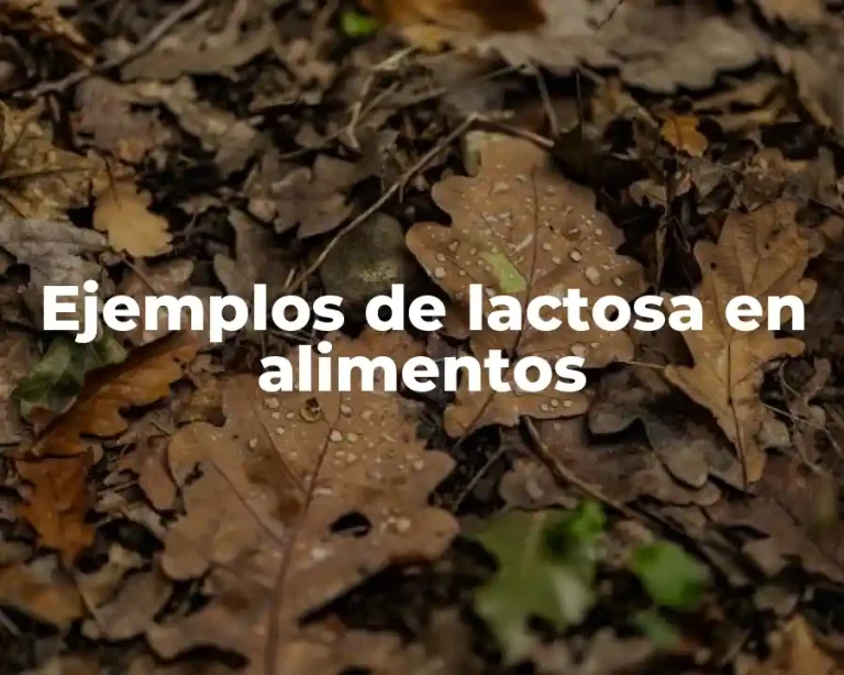 Ejemplos de lactosa en alimentos