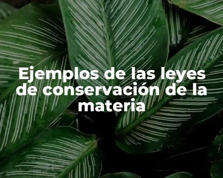 Ejemplos de las leyes de conservación de la materia