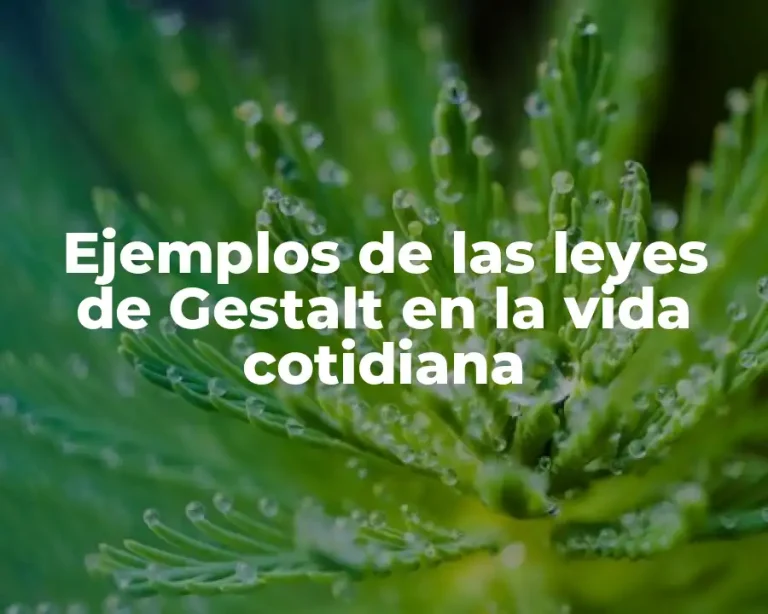 Ejemplos de las leyes de Gestalt en la vida cotidiana