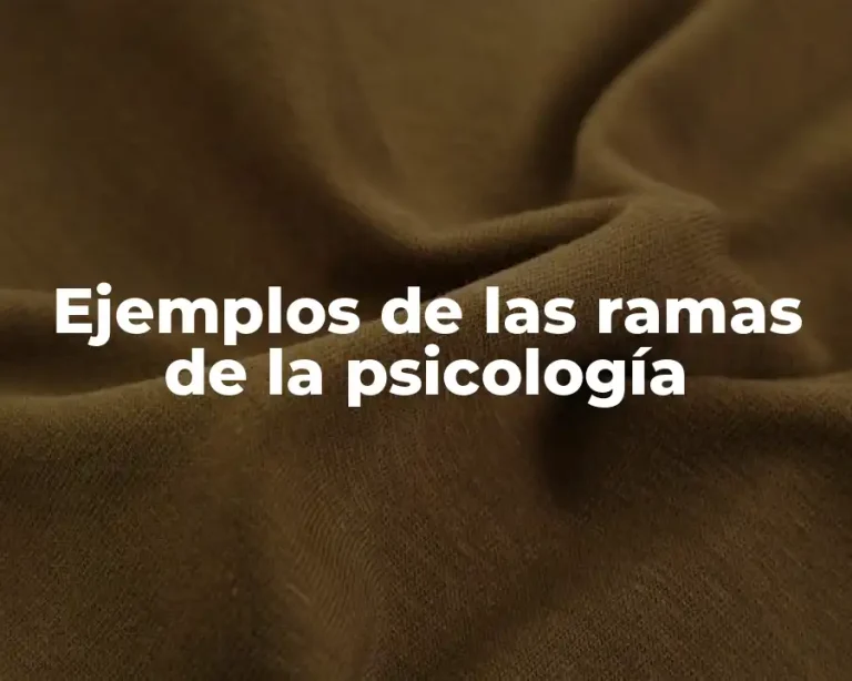 Ejemplos de las ramas de la psicología