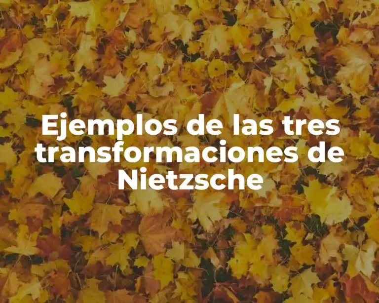 Ejemplos de las tres transformaciones de Nietzsche