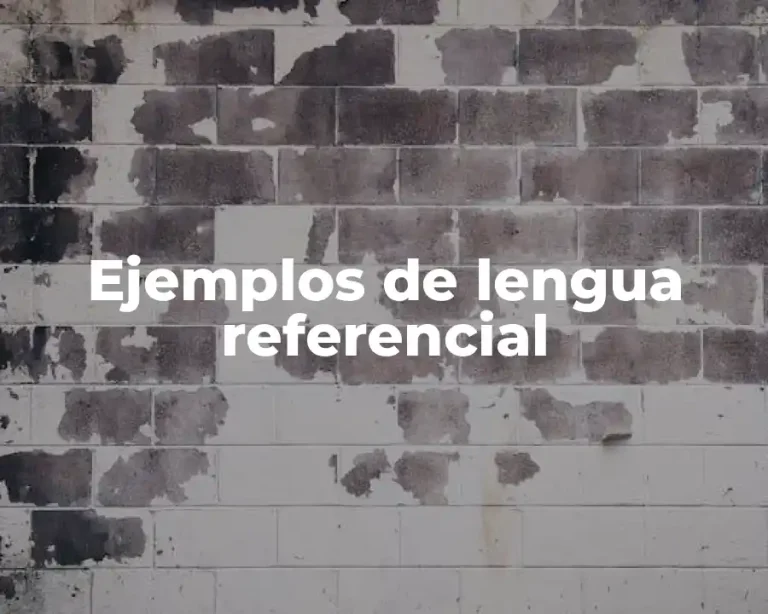 Ejemplos de lengua referencial