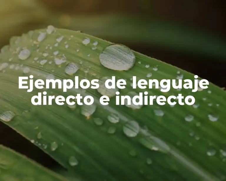 Ejemplos de lenguaje directo e indirecto
