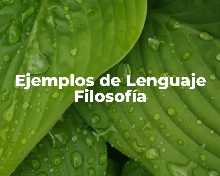 Ejemplos de Lenguaje Filosofía