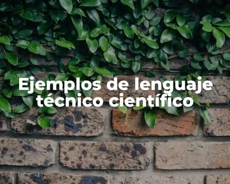 Ejemplos de lenguaje técnico científico