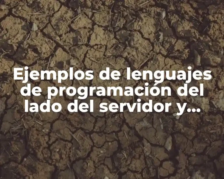 Ejemplos de lenguajes de programación del lado del servidor y Significado