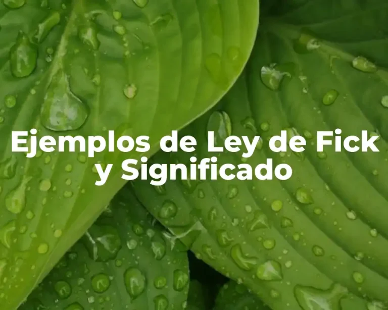 Ejemplos de Ley de Fick y Significado