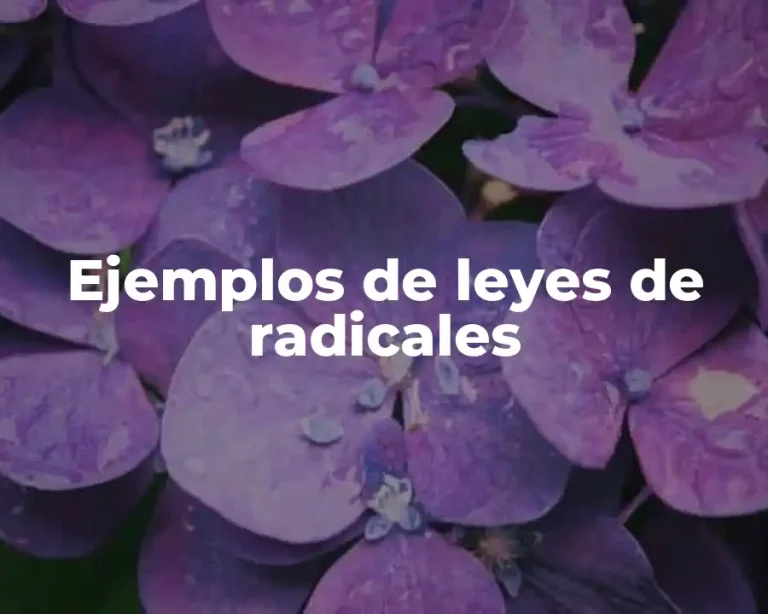 Ejemplos de leyes de radicales