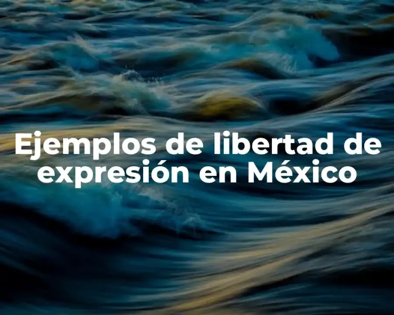 Ejemplos de libertad de expresión en México