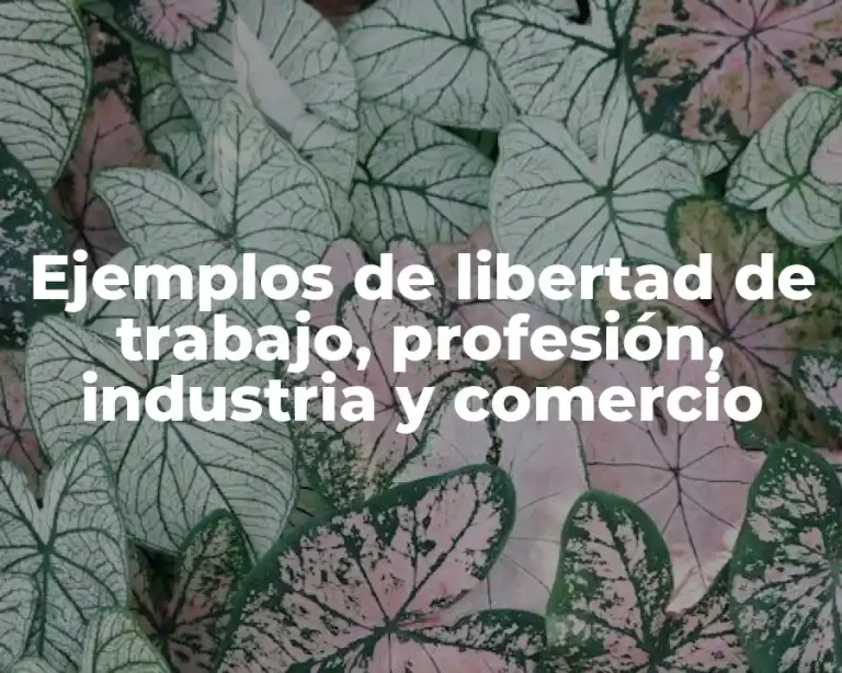 Ejemplos de libertad de trabajo, profesión, industria y comercio