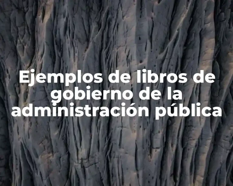 Ejemplos de libros de gobierno de la administración pública