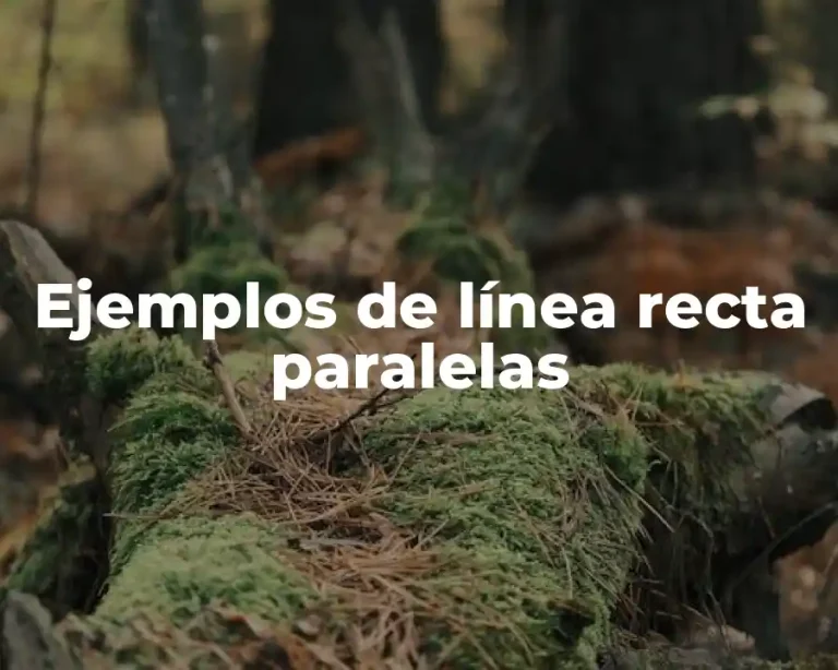 Ejemplos de línea recta paralelas