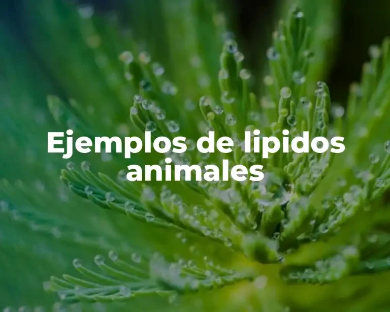 Ejemplos de lipidos animales