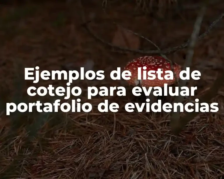 Ejemplos de lista de cotejo para evaluar portafolio de evidencias