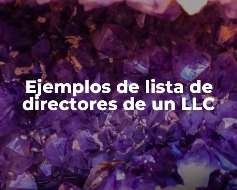 Ejemplos de lista de directores de un LLC