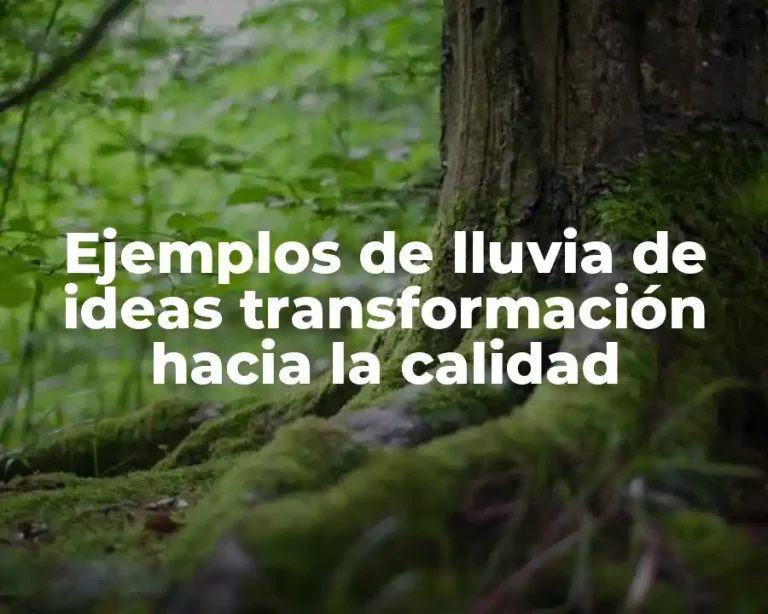 Ejemplos de lluvia de ideas transformación hacia la calidad