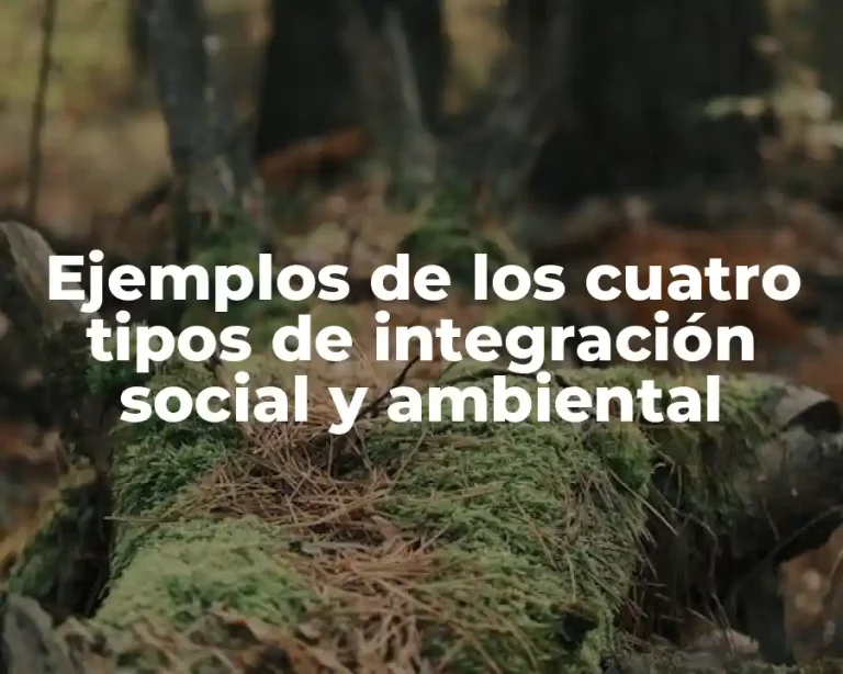 Ejemplos de los cuatro tipos de integración social y ambiental