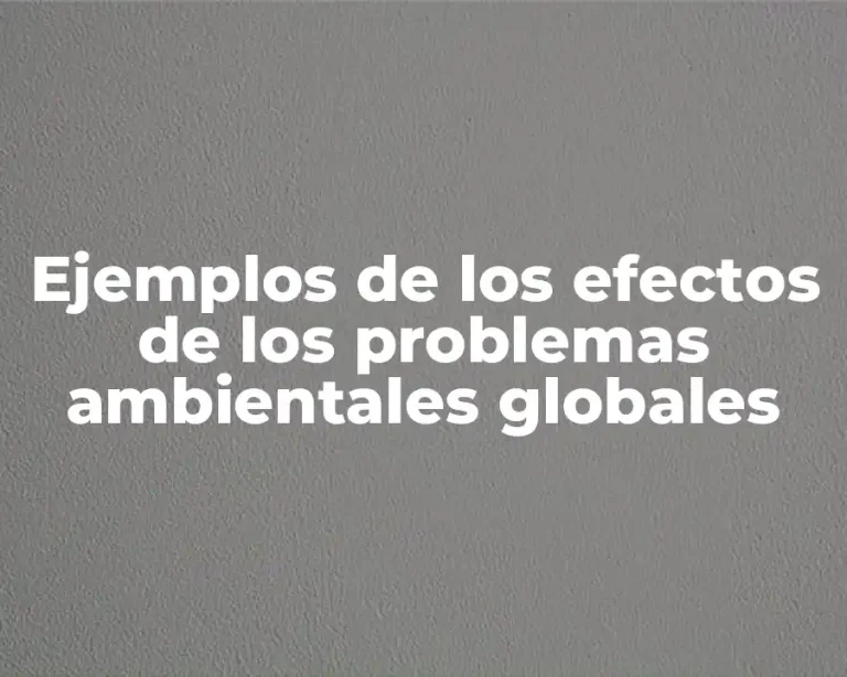 Ejemplos de los efectos de los problemas ambientales globales