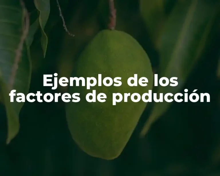 Ejemplos de los factores de producción