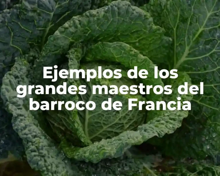 Ejemplos de los grandes maestros del barroco de Francia