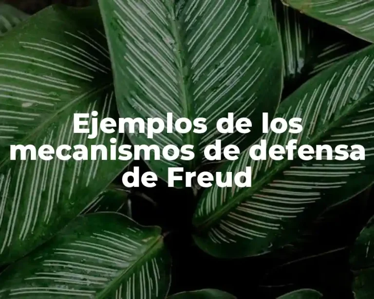 Ejemplos de los mecanismos de defensa de Freud