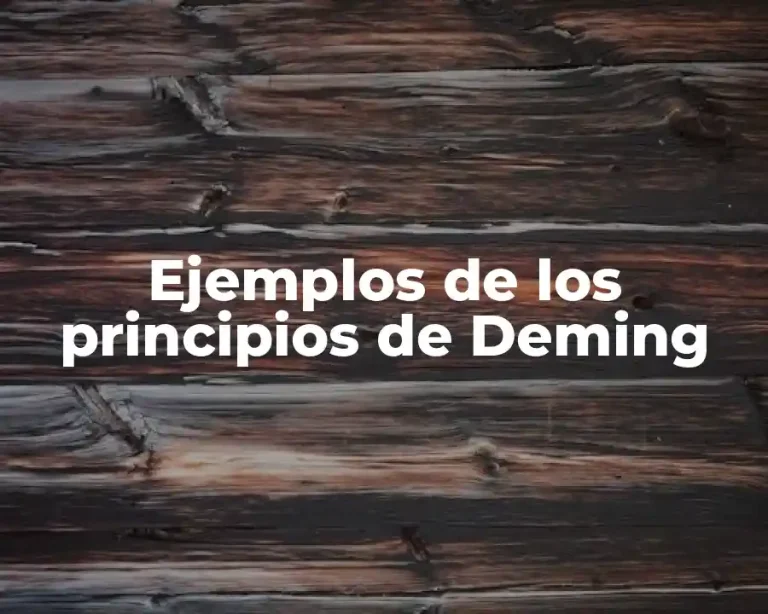 Ejemplos de los principios de Deming