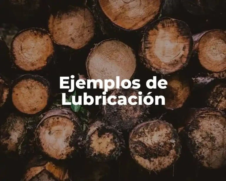 Ejemplos de Lubricación