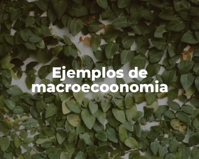 Ejemplos de macroecoonomia