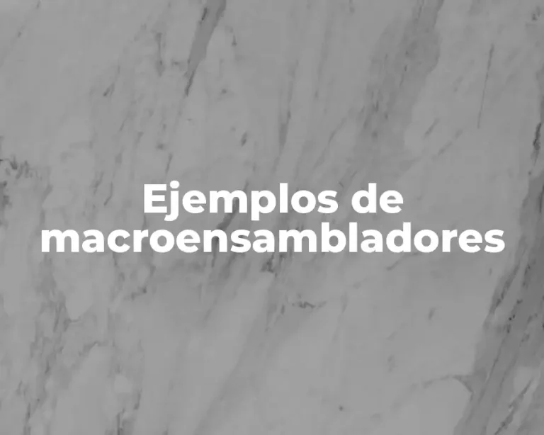 Ejemplos de macroensambladores