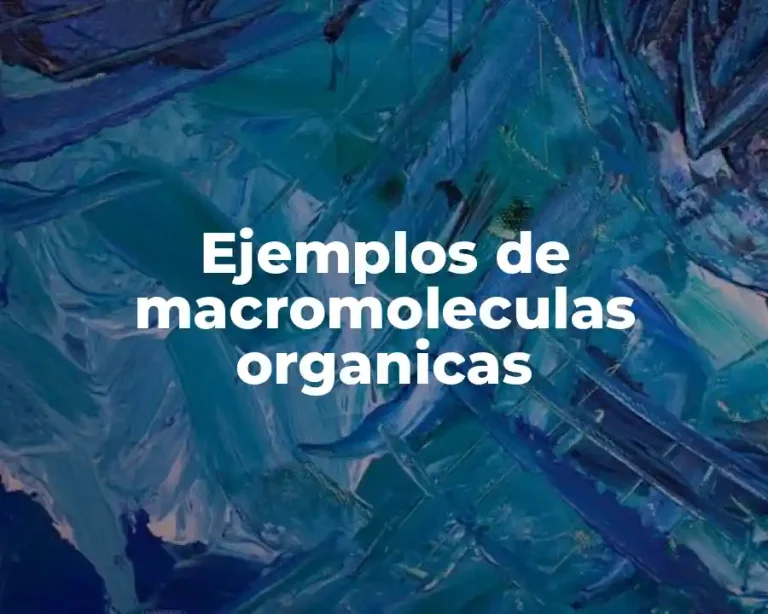 Ejemplos de macromoleculas organicas