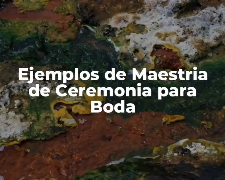 Ejemplos de Maestria de Ceremonia para Boda