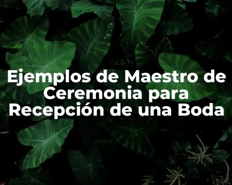 Ejemplos de Maestro de Ceremonia para Recepción de una Boda
