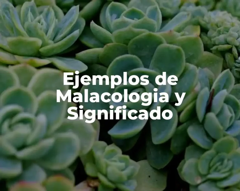 Ejemplos de Malacologia y Significado