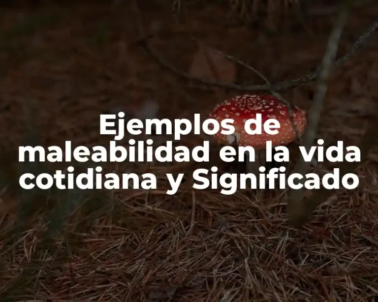 Ejemplos de maleabilidad en la vida cotidiana y Significado