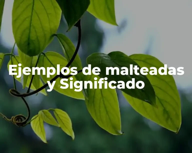Ejemplos de malteadas y Significado