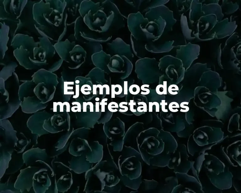 Ejemplos de manifestantes