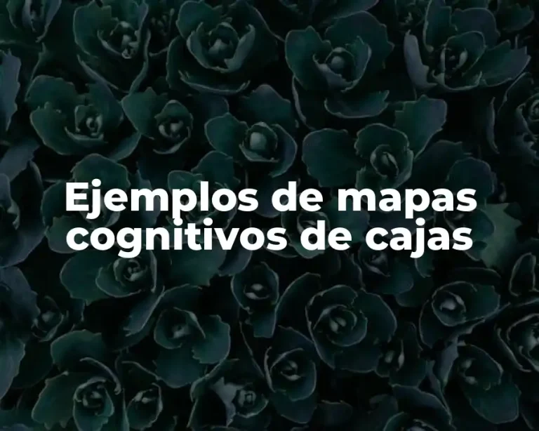 Ejemplos de mapas cognitivos de cajas