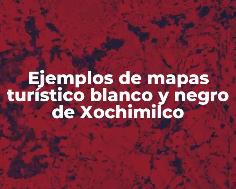 Ejemplos de mapas turístico blanco y negro de Xochimilco