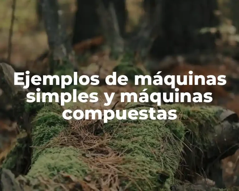 Ejemplos de máquinas simples y máquinas compuestas