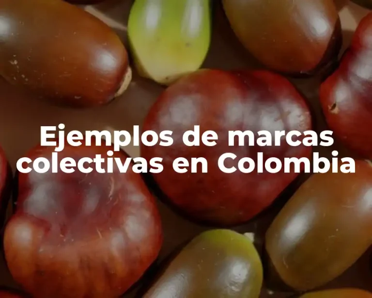 Ejemplos de marcas colectivas en Colombia