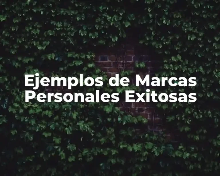 Ejemplos de Marcas Personales Exitosas