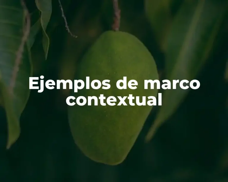 Ejemplos de marco contextual