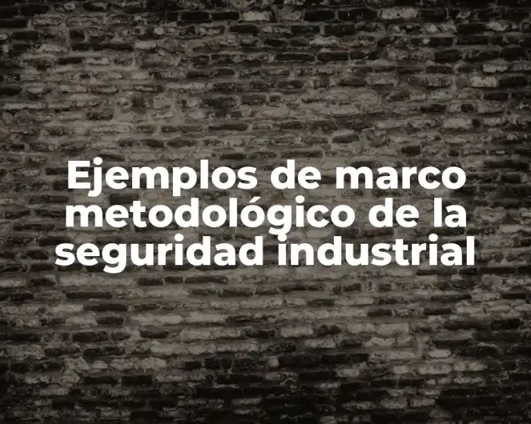 Ejemplos de marco metodológico de la seguridad industrial