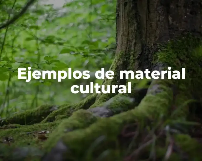 Ejemplos de material cultural