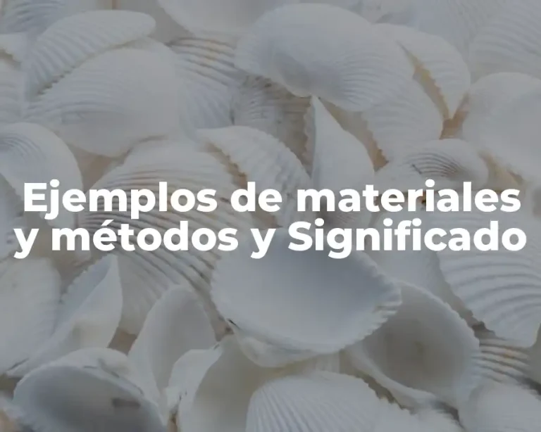 Ejemplos de materiales y métodos y Significado