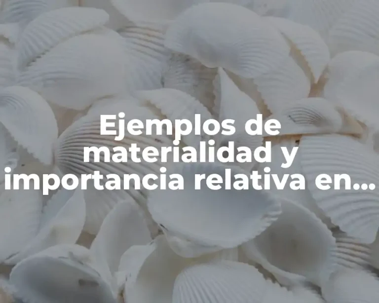 Ejemplos de materialidad y importancia relativa en contabilidad