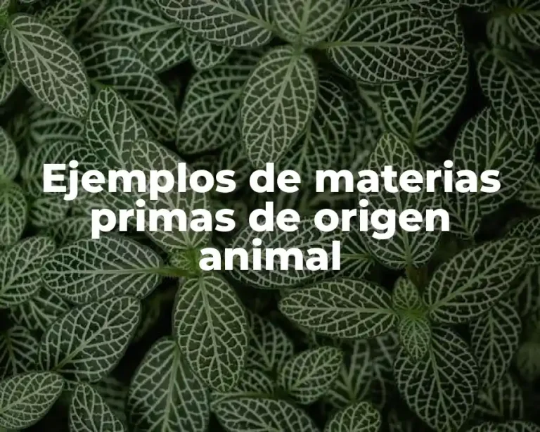 Ejemplos de materias primas de origen animal