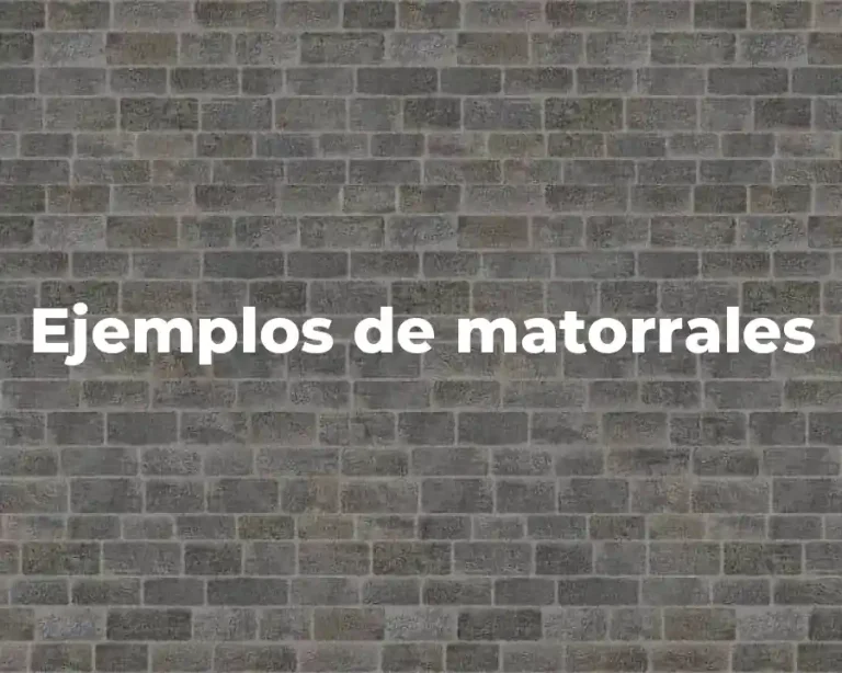 Ejemplos de matorrales